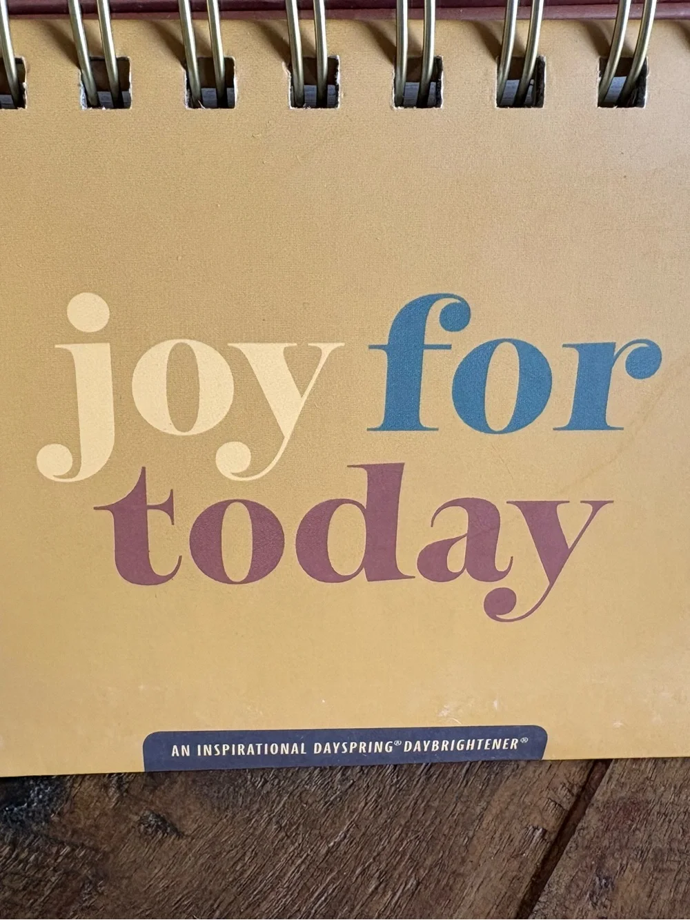 Joy for Today Desk Calendar - Gold
